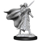 Wizkids Dungeons & Dragons Wizkids Elf Fighter & Cleric Magic the Gathering Unpainted s W14 Elf Fighter & Elf Cleric Miniature D&D WZK90279