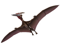 Tamashii Nations Godzilla S.P - Rodan (2021)- The Second Form-, S.H.MonsterArts