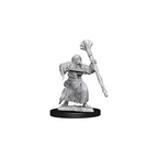 Dungeons and Dragons Wizkids Kenku MonsterNolzur's Marvelous s Wizkids Kenku Adventurers Miniature D&D WZK73840