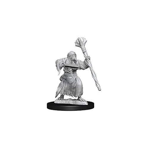 Dungeons and Dragons Wizkids Kenku MonsterNolzur's Marvelous s Wizkids Kenku Adventurers Miniature D&D WZK73840