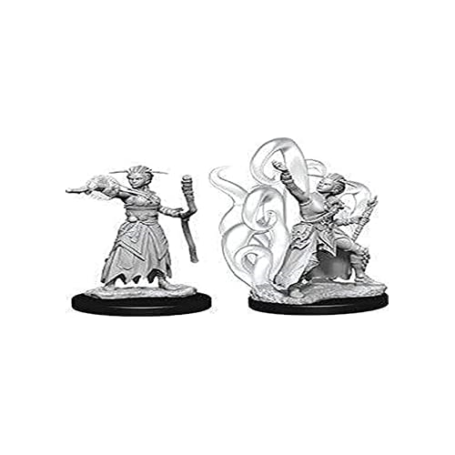 Wizkids Dungeons And Dragons Games Female Human Warlock Unpainted Miniatures D&D WZK73837