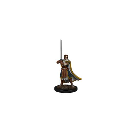 Dungeons and Dragons WizKids Nolzurs Marvelous Male Human Cleric W8 Unpainted Miniatures D&D WZK73672