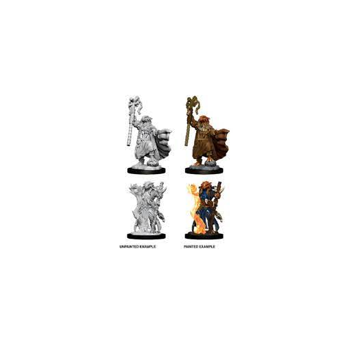 Wizkids Dungeons And Dragons Dragonborn Sorcerer Nolzur's Marvelous S Nolzur's Marvelous Unpainted S Wave 8 Dragonborn Female Sorcerer Miniature D&D WZK73674