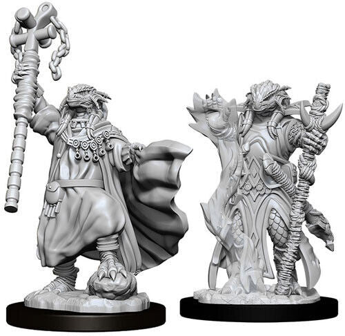 Wizkids Dungeons And Dragons Dragonborn Sorcerer Nolzur's Marvelous S Nolzur's Marvelous Unpainted S Wave 8 Dragonborn Female Sorcerer Miniature D&D WZK73674