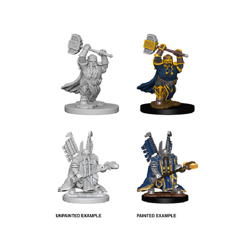 Dungeons and Dragons Wizkids Dwarf PaladinDungeons And Dragons Nolzurs Marvelous Unpainted s Dwarf Male Paladin Miniature D&D WZK72630