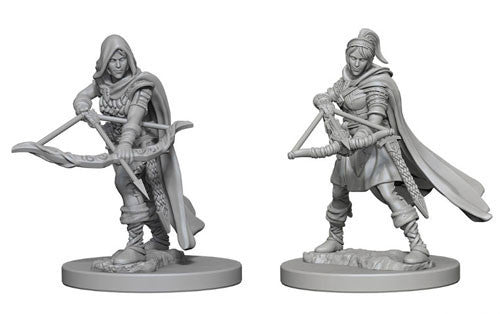 Dungeons and Dragons Wizkids Nolzurs Marvelous Unpainted s Wave 1 Tabaxi Human Female Ranger Miniature D&D WZK72636
