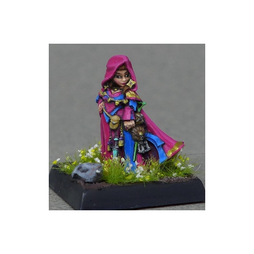 Reaper Dungeons And Dragons Monster Reaper Enora Iconic Arcanist Miniature D&D 60178