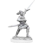 Wizkids Dungeons And Dragons Halfelf Paladin Critical Role Unpainted s W1 Xhorhas Paladin Miniature D&D WZK90390