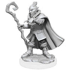 Wizkids Dungeons And Dragons Hobgoblin Wizard & Druid Critical Role Unpainted s W1 Miniature D&D WZK90389