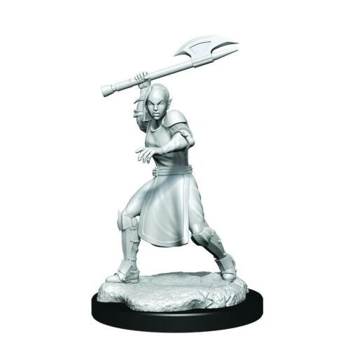 Wizkids Dungeons And Dragons Half Elf Fighter Critical Role Unpainted s W1 Echo Knight & Echo Miniature D&D WZK90379