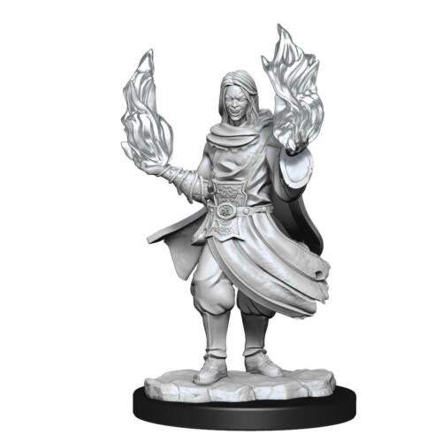 Wizkids Dungeons And Dragons Monster Rogue & Sorcerer Critical Role Unpainted S W1 Hollow One Miniature D&D WZK90380