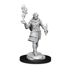 Wizkids Dungeons And Dragons Elf Rogue & Bard Critical Role Unpainted s W1 Pallid Miniature D&D WZK90381