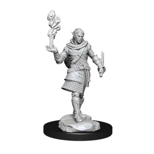 Wizkids Dungeons And Dragons Elf Rogue & Bard Critical Role Unpainted s W1 Pallid Miniature D&D WZK90381
