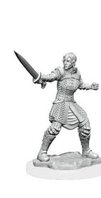 Wizkids Dungeons And Dragons Human Fighter Critical Role Unpainted S W1 Dwendalian Empire Miniature D&D WZK90386