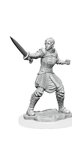Wizkids Dungeons And Dragons Human Fighter Critical Role Unpainted S W1 Dwendalian Empire Miniature D&D WZK90386