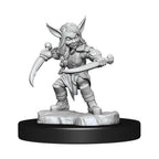 Wizkids Dungeons And Dragons Goblin Rogue & Sorcerer Critical Role Unpainted s W1 Miniature D&D WZK90388