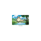 My Neighbor Totoro "Steadily Through the Field" 300P Artcrystal Jigsaw Puzzle (300-AC054) "My Neighbor Totoro", Ensky Artcrystal Puzzle