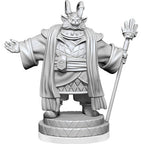 Wizkids Dungeons And Dragons MTG Unpainted Minis Wave 6 Jetmir Nexus Of Revels WZK90543