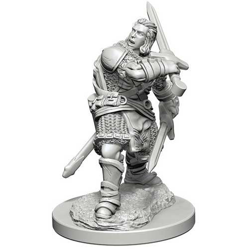 Dungeons & Dragons Wizkids Human Male Paladin Nozurs Marvelous s - Un-Painted Miniature WZK72629