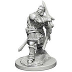Dungeons & Dragons Wizkids Human Male Paladin Nozurs Marvelous s - Un-Painted Miniature WZK72629
