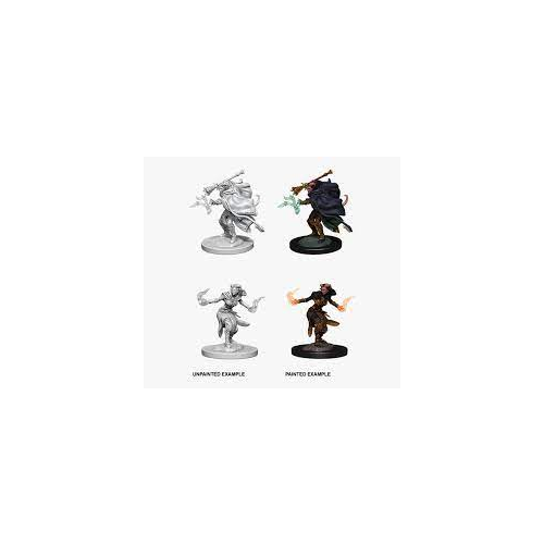 Dungeons & Dragons Wizkids Tiefling Warlock Nolzur's Marvelous s Female Tiefling Miniature WZK73389