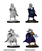 Dungeons & Dragons: Wizkids Human Sorcerer:Nolzur's Marvelous s Wizkids - Female Human Sorcerer - WZK73832: Miniature