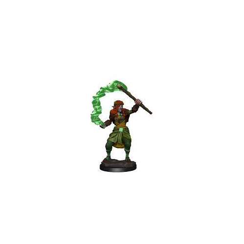 Dungeons & Dragons: Wizkids Firbolg Druid: Nolzur's Marvelous Unpainted s: Firbolg Druid (Female): Miniature