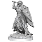 Dungeons & Dragons Nolzur's Marvelous Miniatures Elf Cleric Male W16 WZK90404