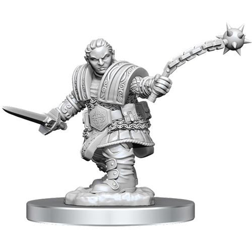 Dungeons & Dragons Nolzur's Marvelous Dwarf Fighter Female W16 Miniature WZK90406