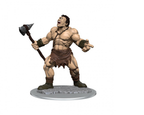 Dungeons & Dragons Wizkids Monster Nolzur's Marvelous s Cyclops W16 Miniature WZK90432