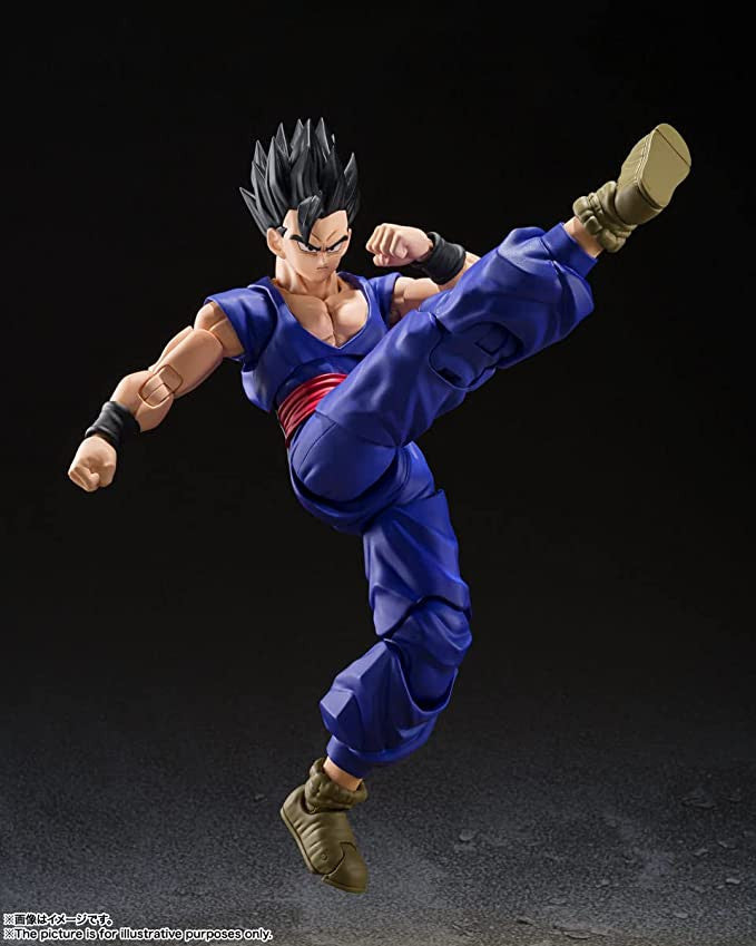 S.H. Figuarts Dragon Ball Super Ultimate Gohan Super Hero Action Figure