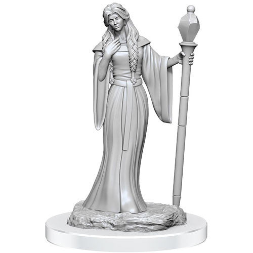 Wizkids Dungeons And Dragons Critical Role Minis Wave 3 Human Wizard Female & Halfling Holy Warrior Female WZK90550