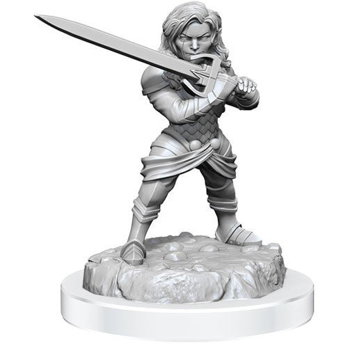 Wizkids Dungeons And Dragons Critical Role Minis Wave 3 Human Wizard Female & Halfling Holy Warrior Female WZK90550