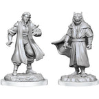 Wizkids Dungeons And Dragons Critical Role Minis Wave 3 Male Human Sorcerer Merchant & Tiger Demon WZK90551
