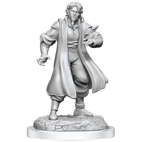 Wizkids Dungeons And Dragons Critical Role Minis Wave 3 Male Human Sorcerer Merchant & Tiger Demon WZK90551