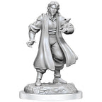 Wizkids Dungeons And Dragons Critical Role Minis Wave 3 Male Human Sorcerer Merchant & Tiger Demon WZK90551