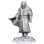 Wizkids Dungeons And Dragons Critical Role Minis Wave 3 Male Human Sorcerer Merchant & Tiger Demon WZK90551