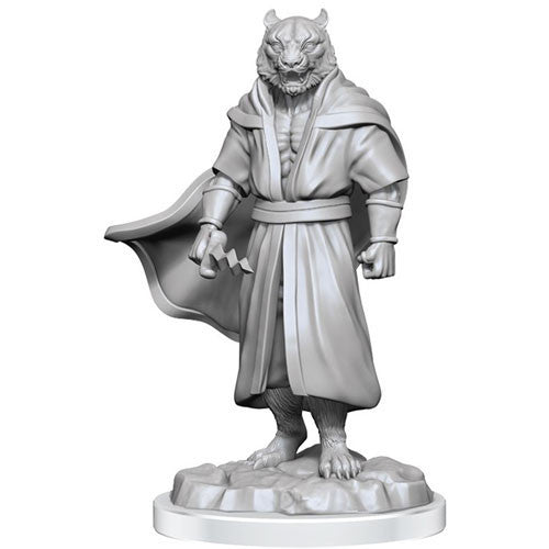 Wizkids Dungeons And Dragons Critical Role Minis Wave 3 Male Human Sorcerer Merchant & Tiger Demon WZK90551