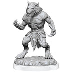 Wizkids Dungeons And Dragons Critical Role Minis Wave 3 Fey Werewolves WZK90557