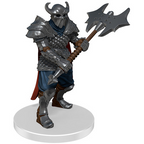 Wizkids Dungeons And Dragons Icons Of The Realms Dragonlance Dragon Army Warband WZK96247