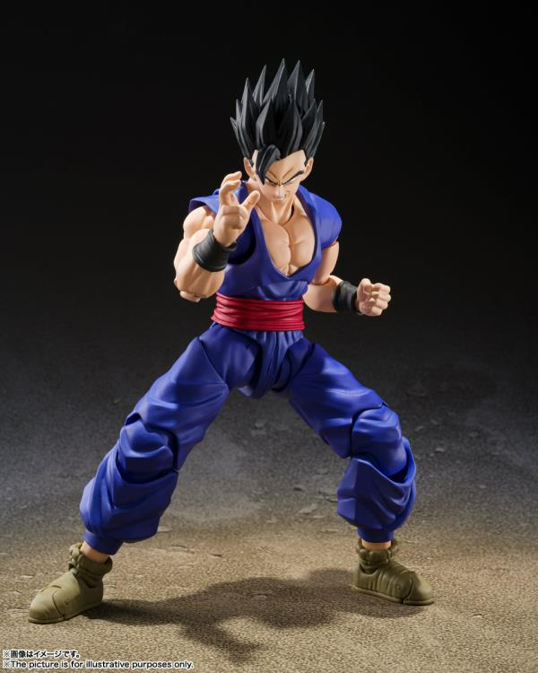 S.H. Figuarts Dragon Ball Super Ultimate Gohan Super Hero Action Figure