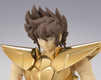 Saint Cloth Myth Ex Pegasus Seiya (New Bronze Cloth) -Masami Kurumada 40th Anniversary Edition-