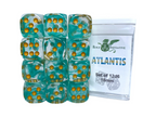 Role 4 Initiative Large High Visibility Polyhedral Dice Set Atlantis Arch'd d4's with White Numbers 7 Ct R4i-50410-7C