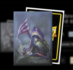 Dragon Shield Sleeves Standard Size Huey Matte Finish Brushed Art 100 Ct ATMDSH12007