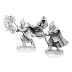 Wizkids Dungeons And Dragons Hobgoblin Wizard & Druid Critical Role Unpainted s W1 Miniature D&D WZK90389