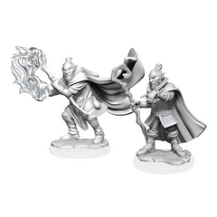 Wizkids Dungeons And Dragons Hobgoblin Wizard & Druid Critical Role Unpainted s W1 Miniature D&D WZK90389