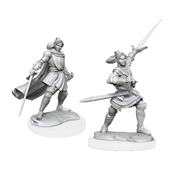 Wizkids Dungeons And Dragons Halfelf Paladin Critical Role Unpainted s W1 Xhorhas Paladin Miniature D&D WZK90390