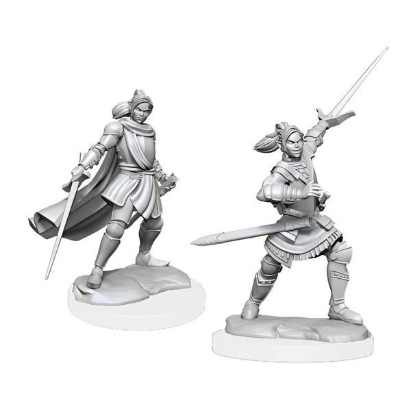 Wizkids Dungeons And Dragons Halfelf Paladin Critical Role Unpainted s W1 Xhorhas Paladin Miniature D&D WZK90390