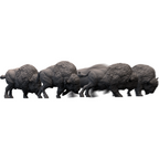 Mythic Earth Western Federation Tatanka Bison 5 Resin Miniature Figures Set MSMA89