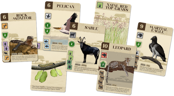 Kavango Strategic And Fast-Paced Board Game MZG2403EN